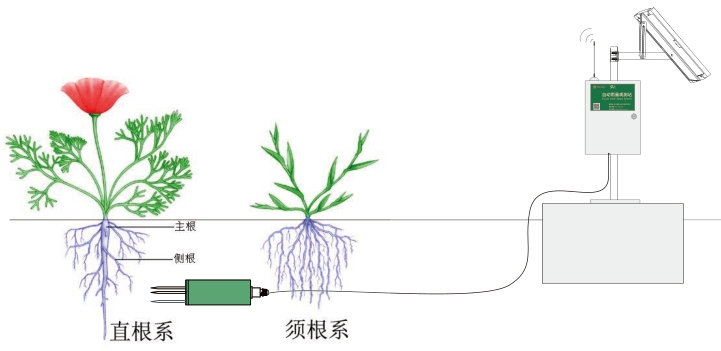 土壤墑情站